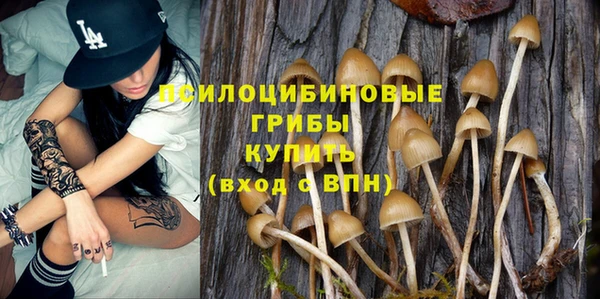 дурь Вязьма