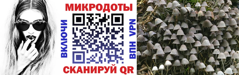 Псилоцибиновые грибы MAGIC MUSHROOMS  Березники 